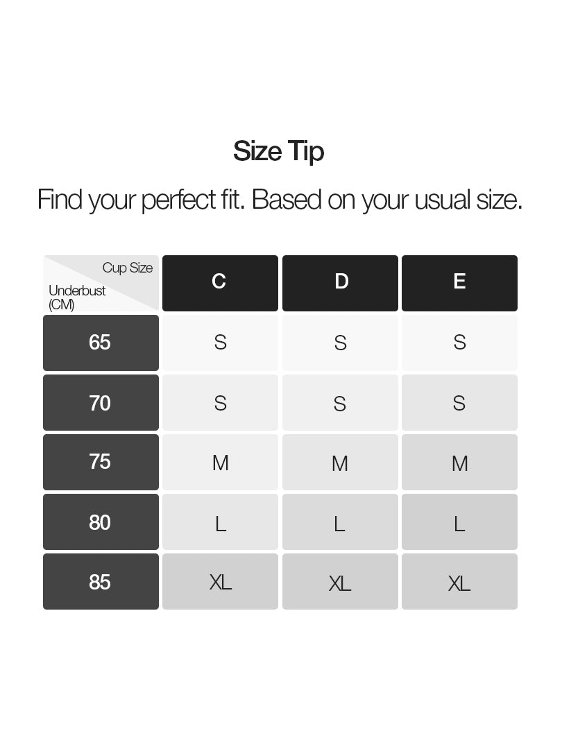 [3 SET] All-Day Fit C–D Cup Bra (Hook & No-hook) & Panty