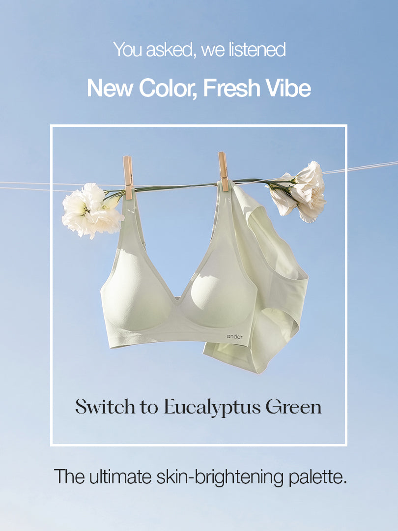 [SET] All-Day Fit Bra (Hook & No-hook) & Panty