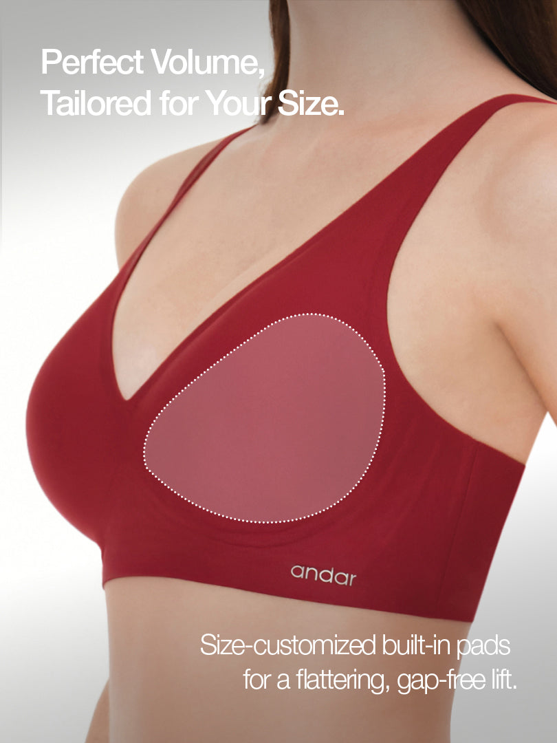 [2 SET] All-Day Fit Bra (Hook & No-Hook) & Panty